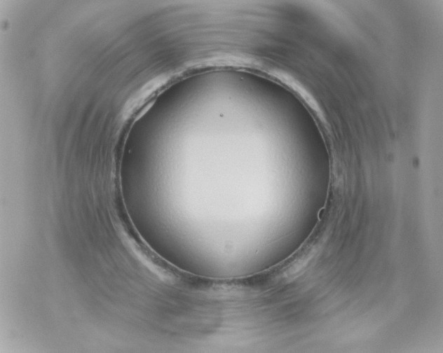 X0000070880437200607071951