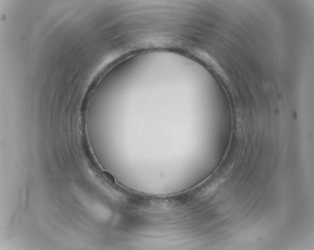 X0000070880439200607071952