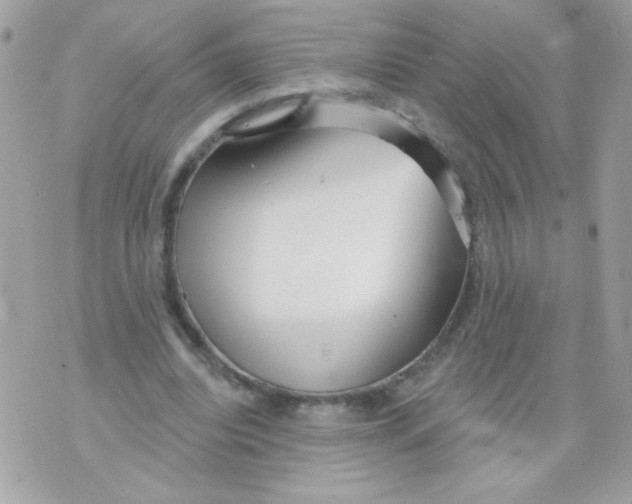 X0000070880440200607071952