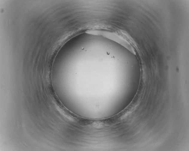 X0000070880441200607071952