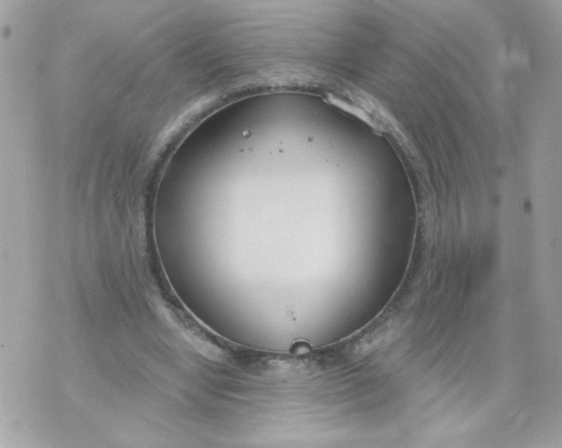 X0000070880442200607071952