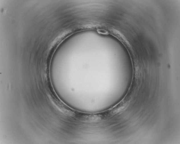 X0000070880443200607071952