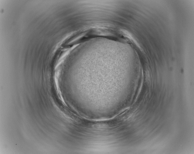 X0000070880444200607071952