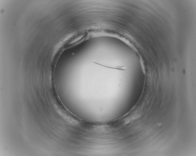 X0000070880446200607071952