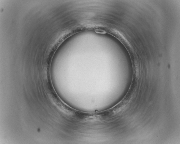 X0000070880447200607071952