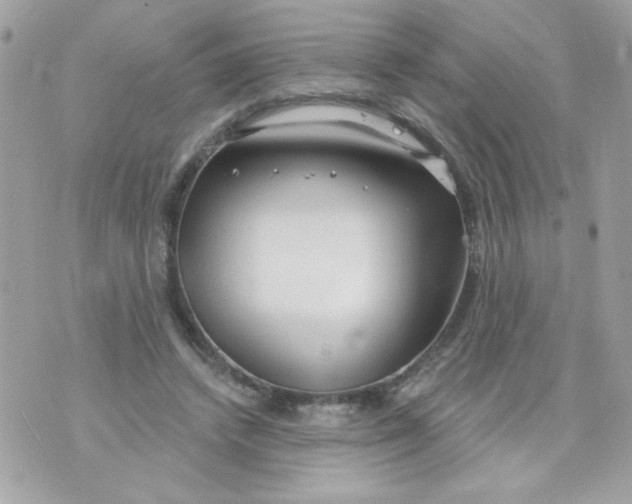 X0000070880448200607071952