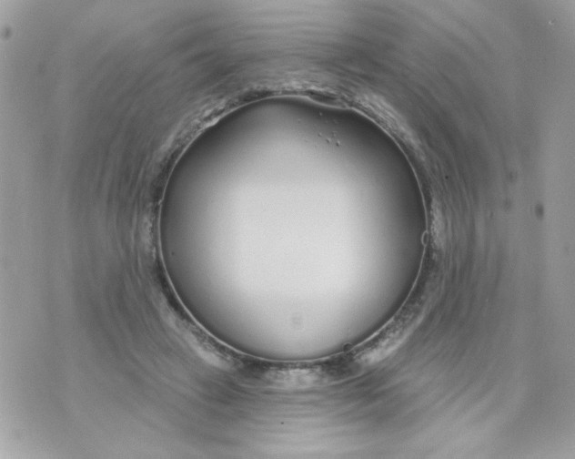 X0000070880449200607071952