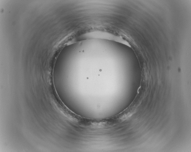 X0000070880450200607071952