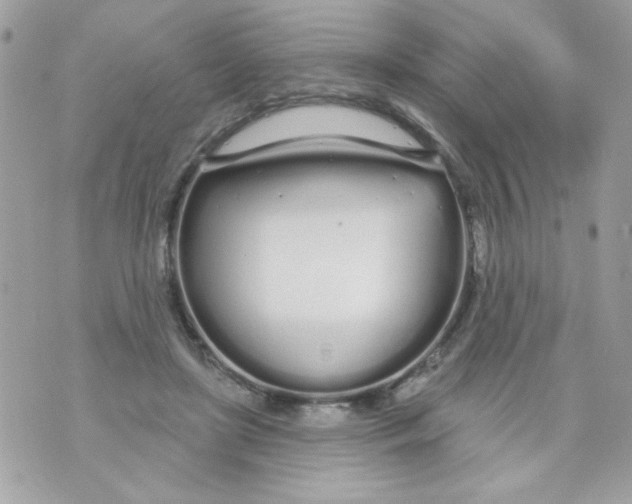 X0000070880451200607071952