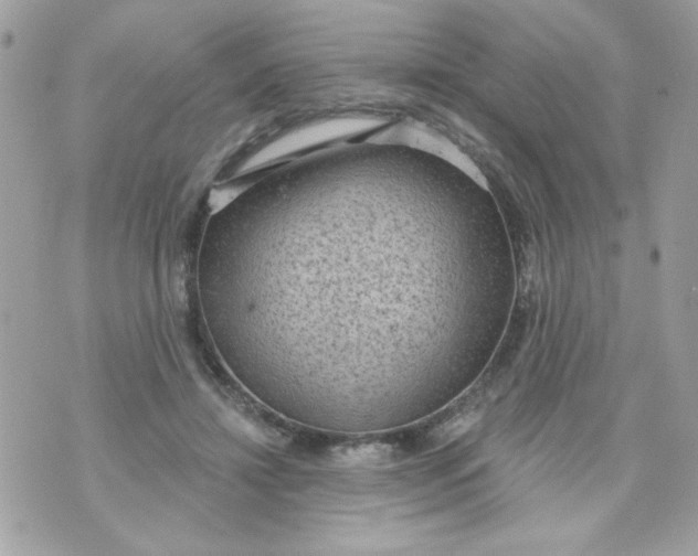 X0000070880452200607071952