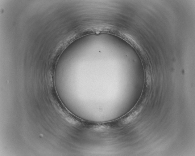 X0000070880453200607071952