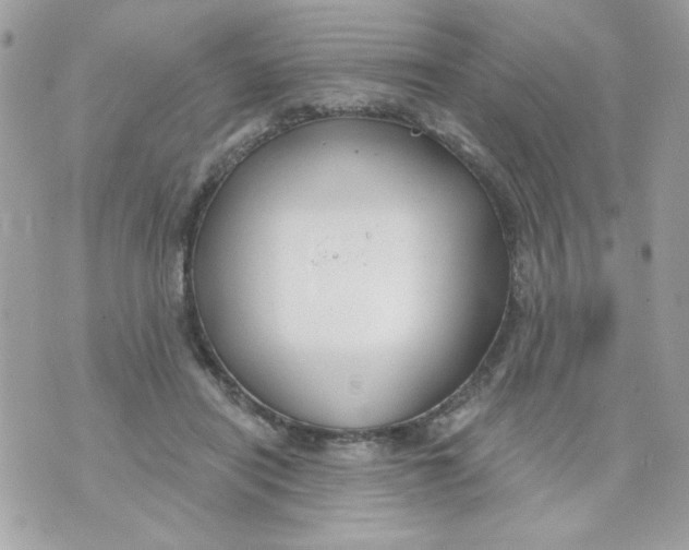 X0000070880454200607071952