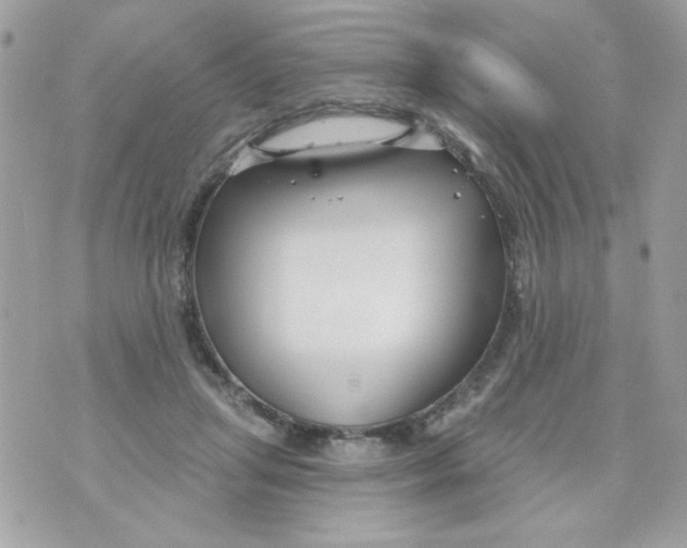 X0000070880455200607071952