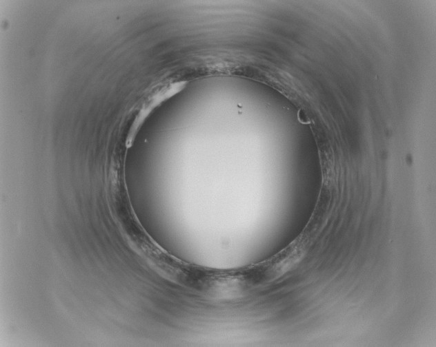 X0000070880456200607071952