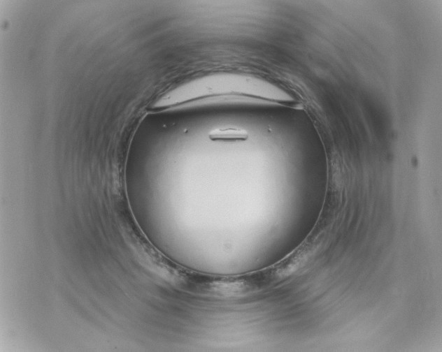 X0000070880457200607071952