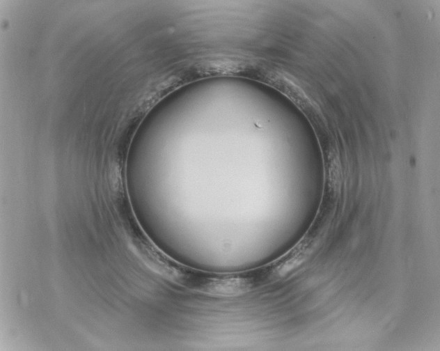 X0000070880459200607071952