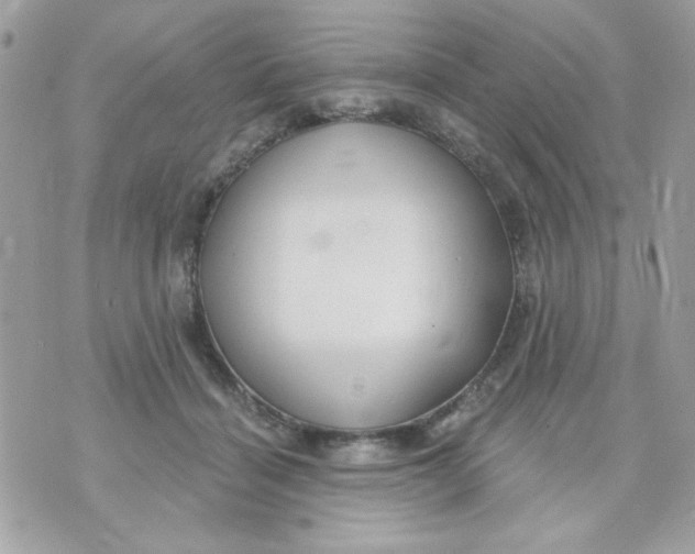 X0000070880460200607071952