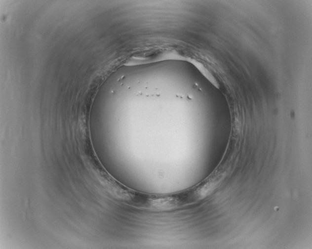 X0000070880461200607071952