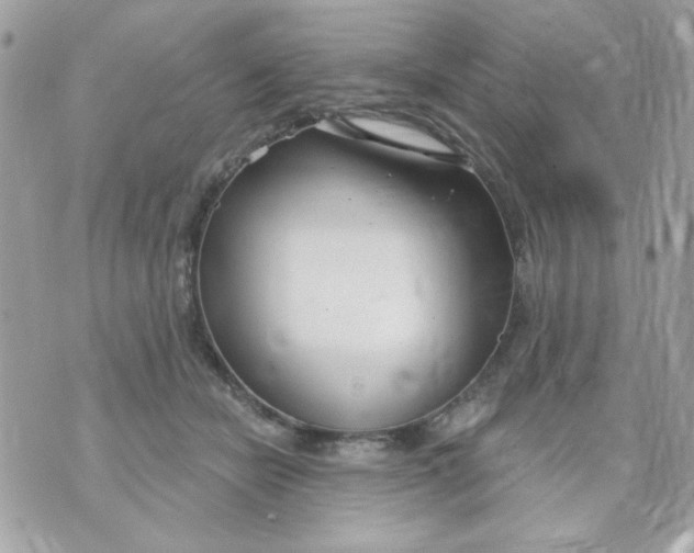 X0000070880462200607071952