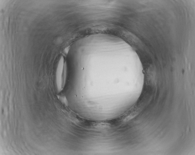 X0000070880463200607071952