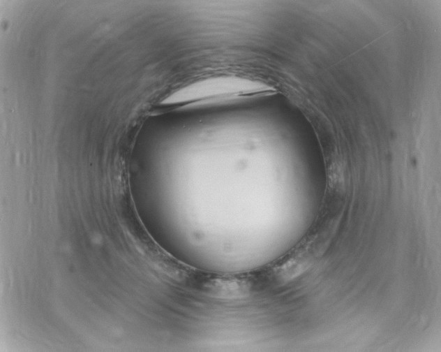 X0000070880464200607071952