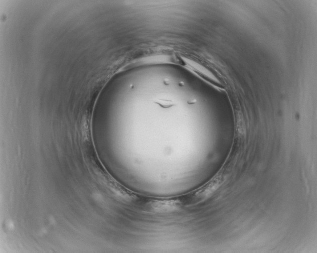 X0000070880465200607071952