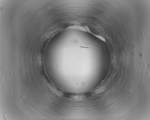 X0000070880466200607071952