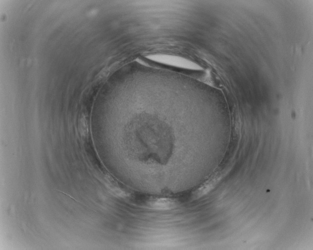 X0000070880467200607071952