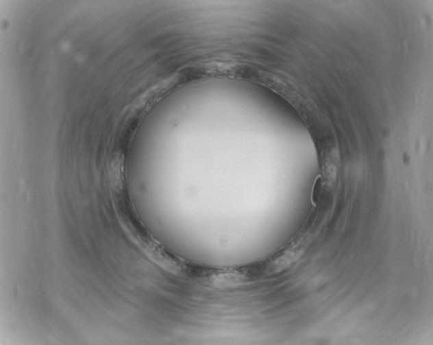 X0000070880468200607071952