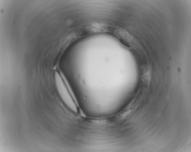 X0000070880469200607071952