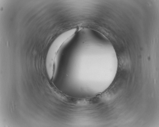 X0000070880470200607071952