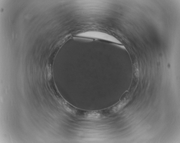 X0000070880471200607071952