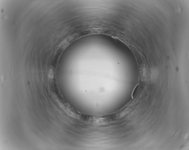 X0000070880472200607071952