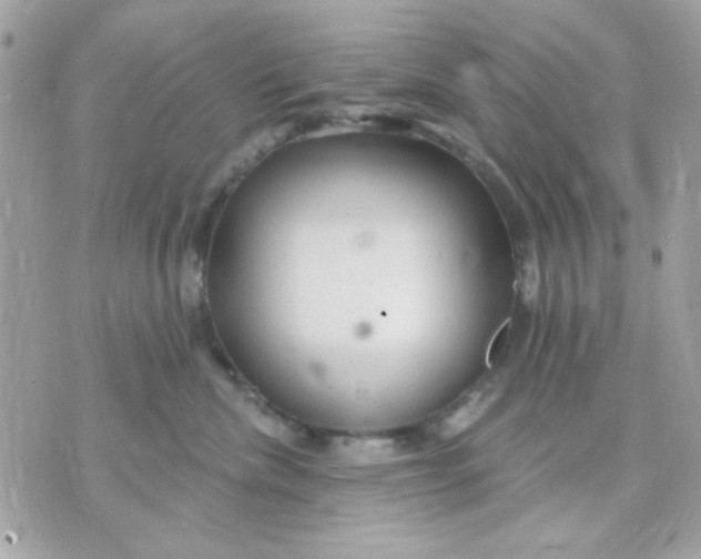 X0000070880476200607071952