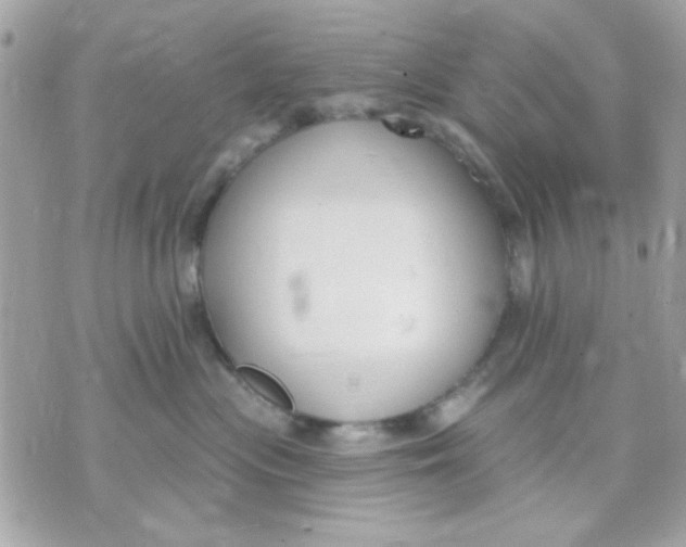 X0000070880477200607071952