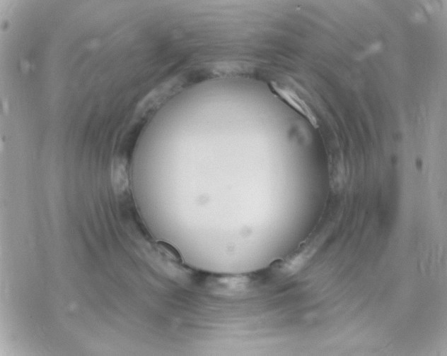 X0000070880478200607071952