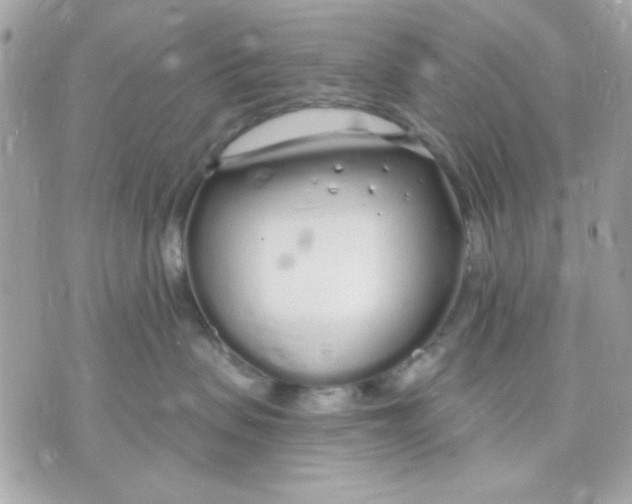 X0000070880479200607071952