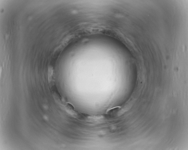 X0000070880480200607071952