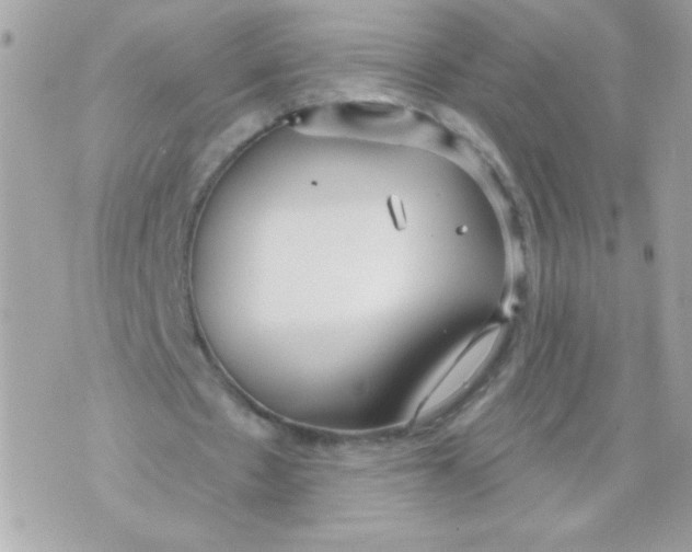 X0000070880481200607071951