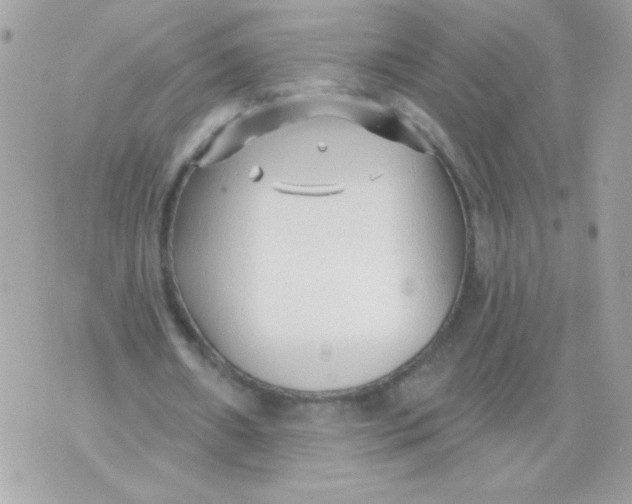 X0000070880482200607071951