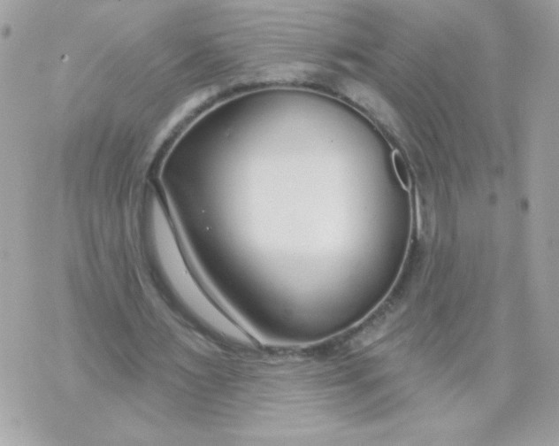 X0000070880483200607071951