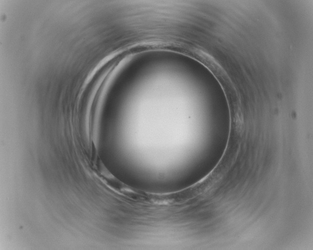 X0000070880484200607071951