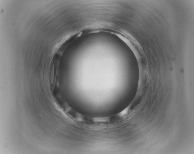 X0000070880485200607071951