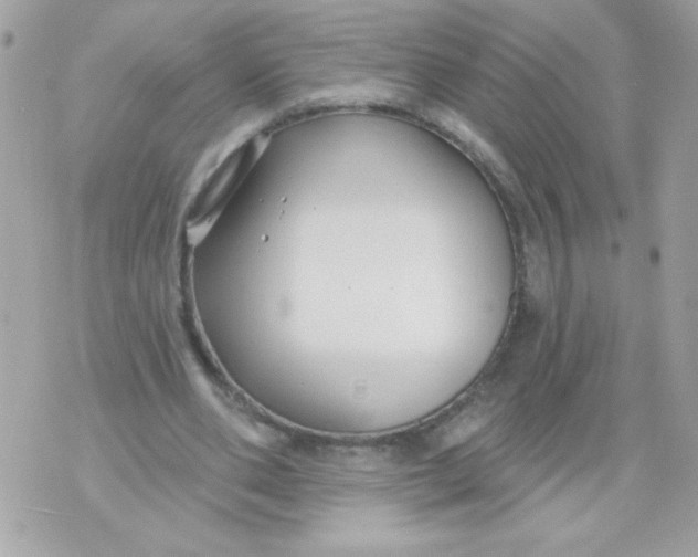 X0000070880486200607071951