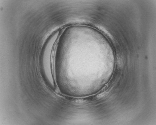 X0000070880487200607071951