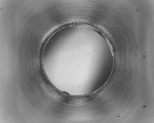 X0000070880488200607071951