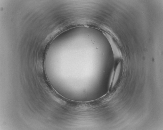 X0000070880489200607071951