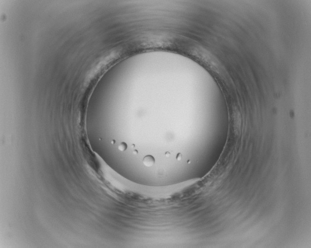 X0000070880490200607071951