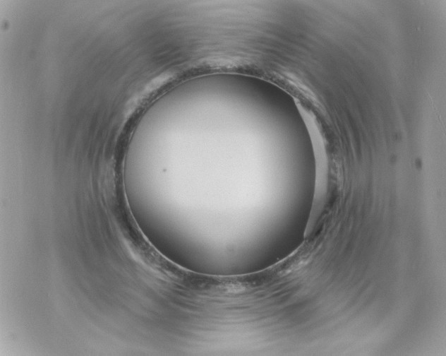 X0000070880492200607071951