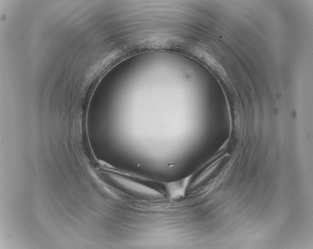 X0000070880493200607071951